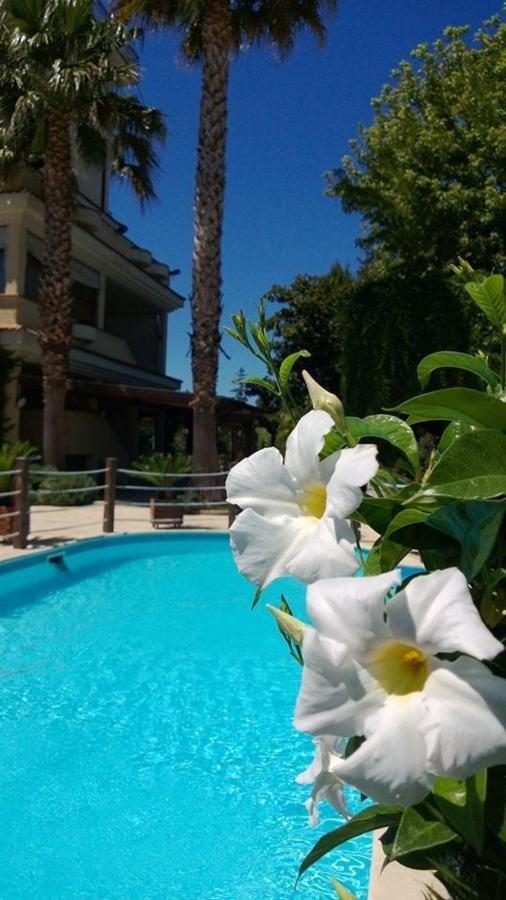 Area relax in giardino
